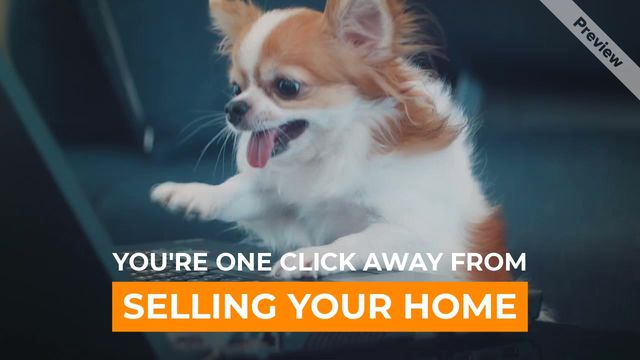 One Click Video Template