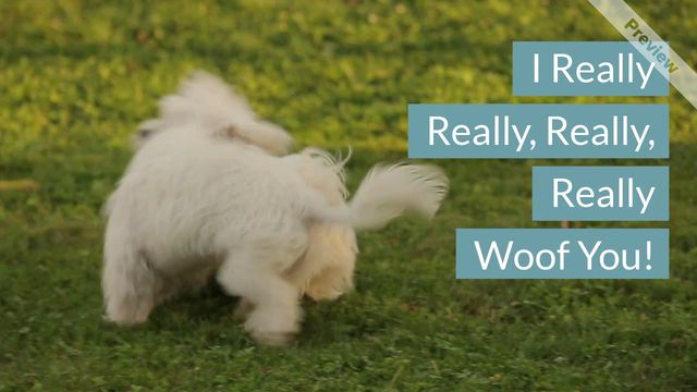 Woof You Video Template
