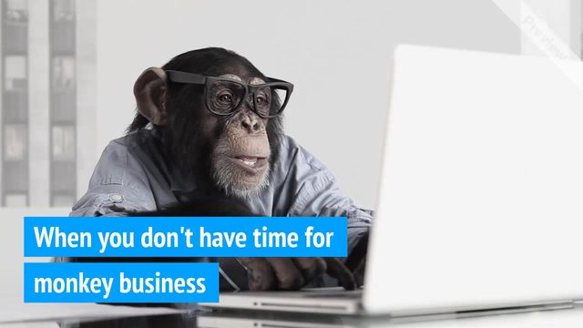 PC Monkey Video Template