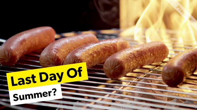 One more hotdog Video Template