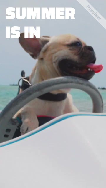 Summer Vacation #2 Video Template