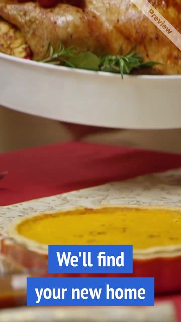 Bring Turkey Video Template