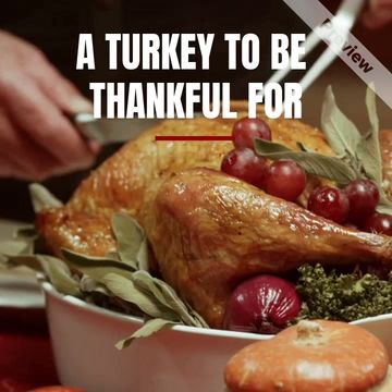 Perfect Turkey Video Template