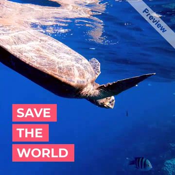save the world  Video Template