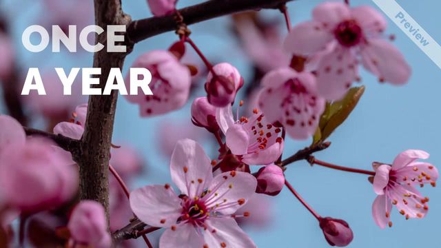 Once a Year  Video Template