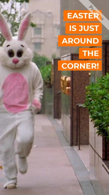 Hurry Up Video Template