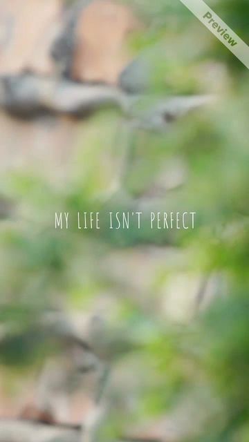 Hair Stylist Video Template