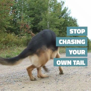 STOP CHASING Video Template