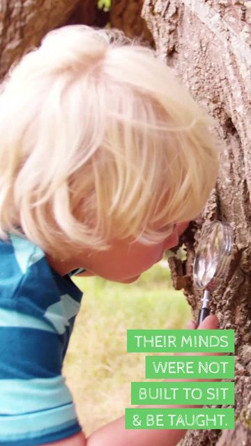NATURE #2 Video Template