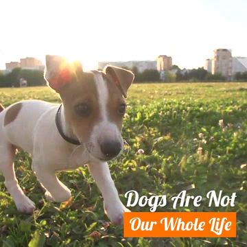 A Whole Life Video Template