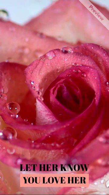 LOVE HER #2 Video Template