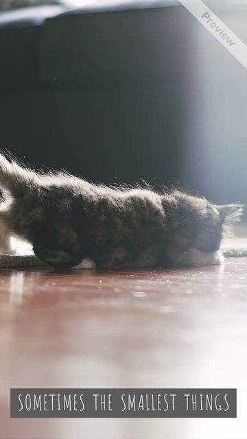 SMALLEST THINGS #2 Video Template