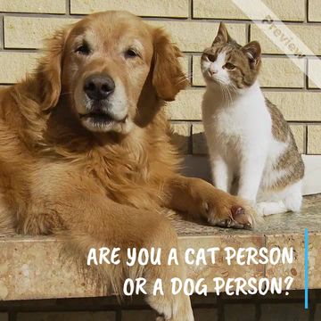 Cats & Dogs Video Template