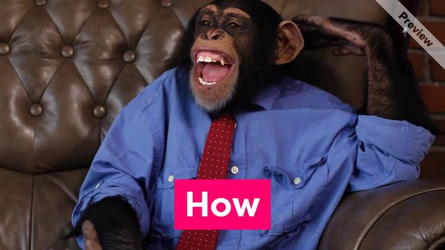 Caption Contest Video Template