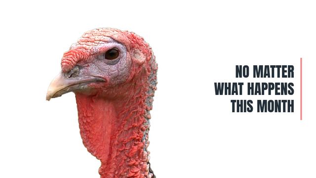 Not a Turkey Video Template