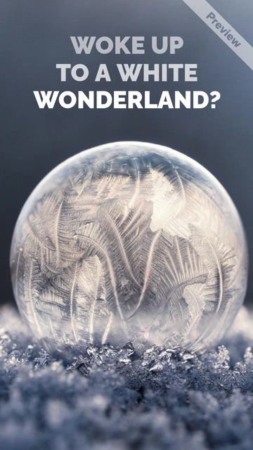 Winter Dream Video Template