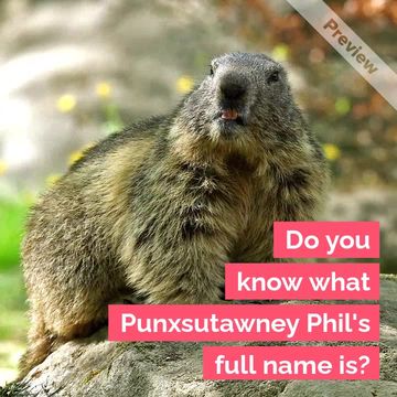 Groundhog Day Video Template