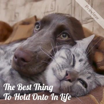 The Best Thing Video Template