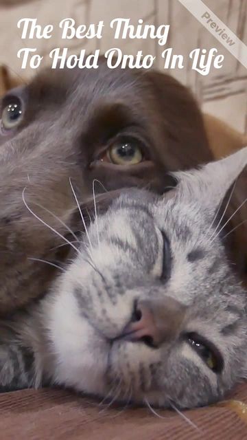 The Best Thing Video Template