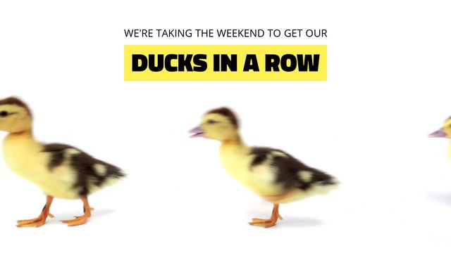 Ducks in a row Video Template