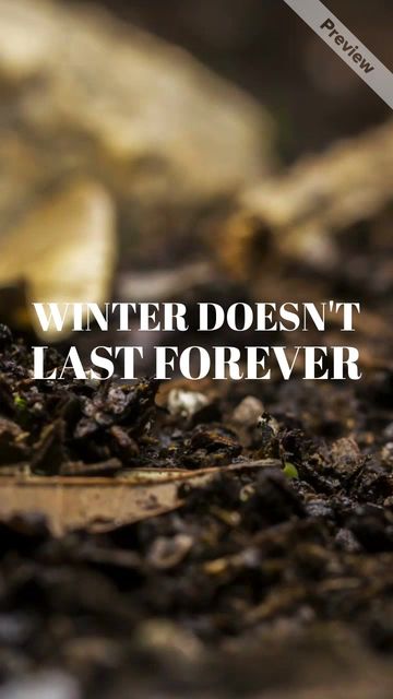 Winter Forever Video Template