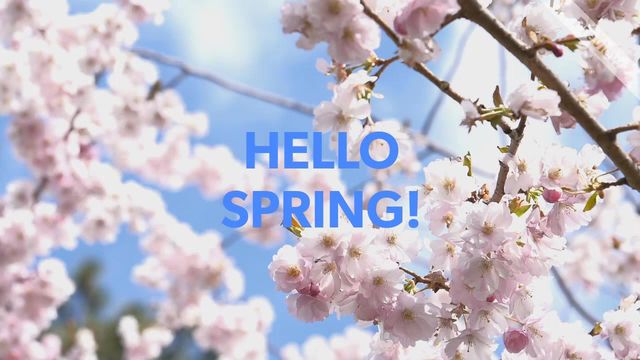 FB Cover Video Template