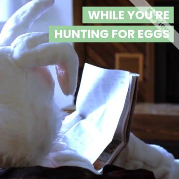 hunting homes Video Template