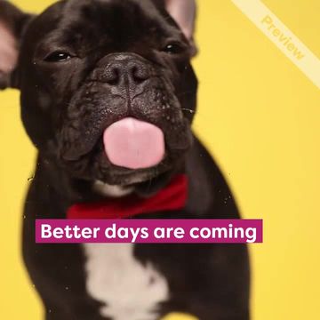 #TGIF Video Template