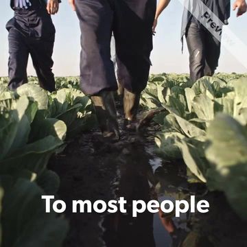 Farm Workers Day Video Template