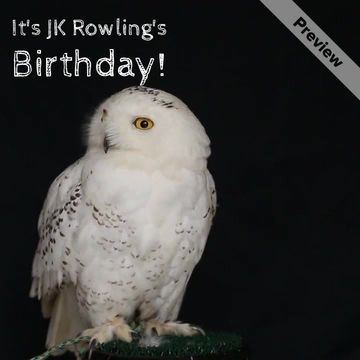 JK Rowling Birthday Video Template