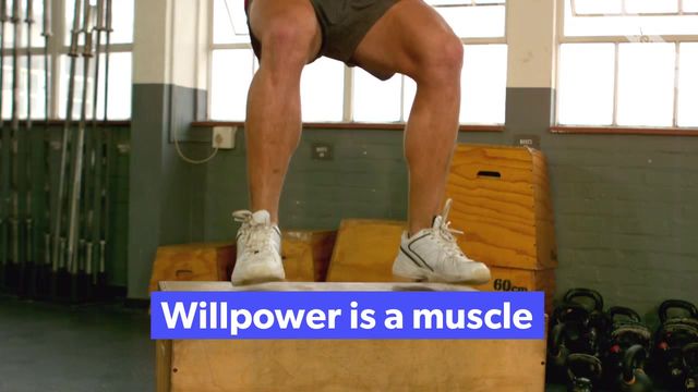 Willpower Video Template
