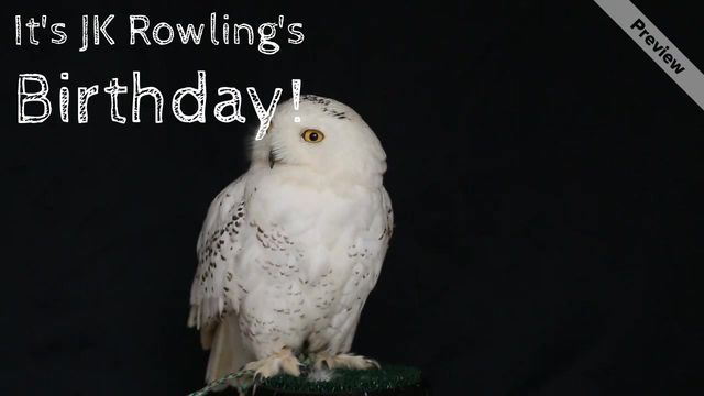 JK Rowling Birthday Video Template