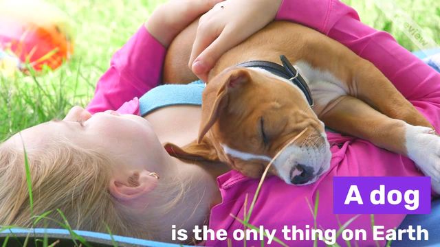 National Dog Day Video Template