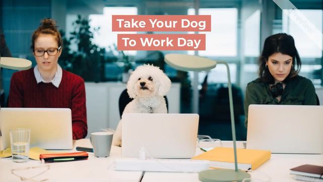 Best of 2019 Video Template