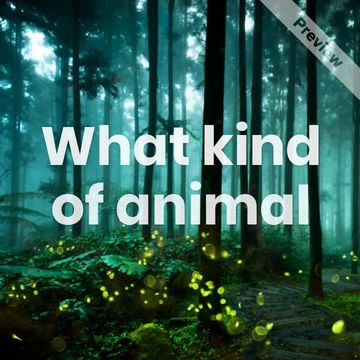 National Trivia Day | Jan 4 Video Template