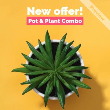 product video Video Template