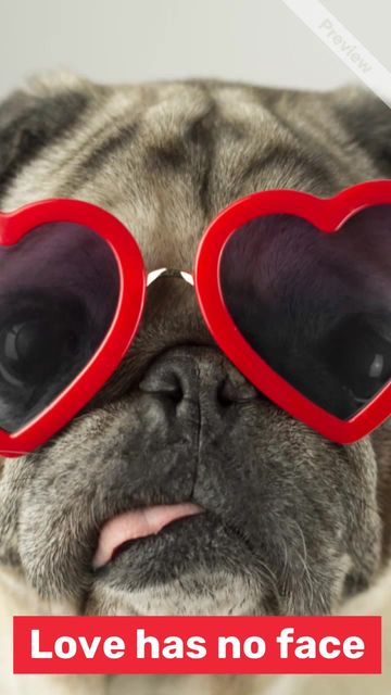 No limits Video Template