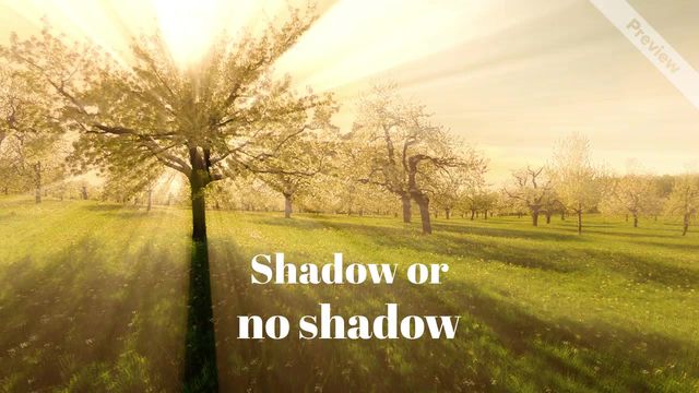 Happy Groundhog Day! Video Template