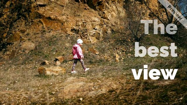 #WisdomWednesday Video Template