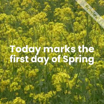 #SpringEquinox Video Template