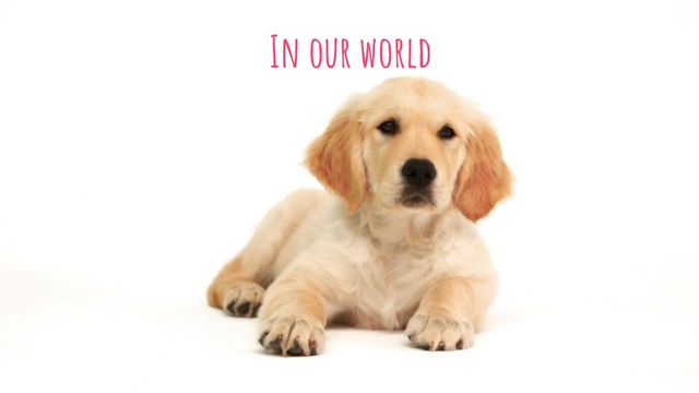 Puppy Day Video Template