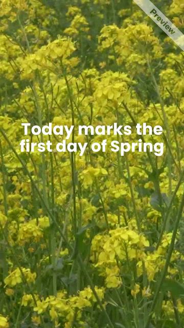 #SpringEquinox Video Template