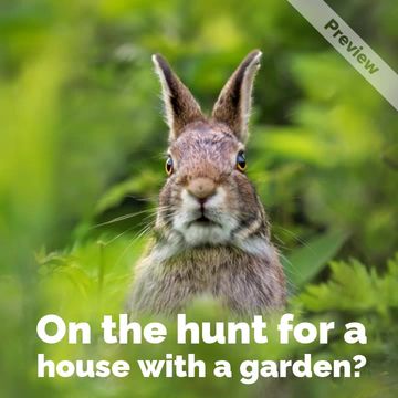 House hunt Video Template