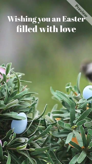 Joys of Easter Video Template