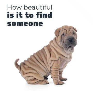 National Pet Week Video Template