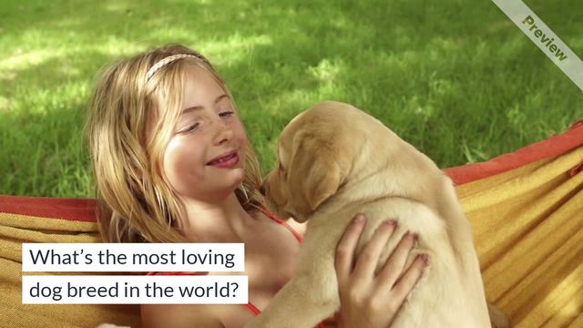 Rescue Dog Day Video Template