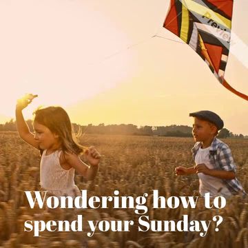 Wind Day Video Template