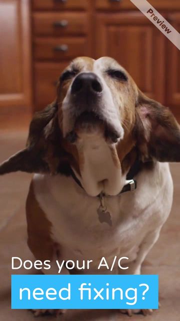 We're all ears Video Template