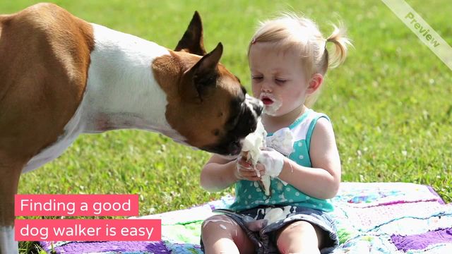 Find a Dog Walker Video Template