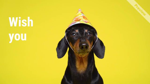 what they think Video Template